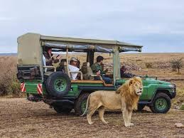 10 Best Ways to Experience Kenya on Safari | Duma Tours