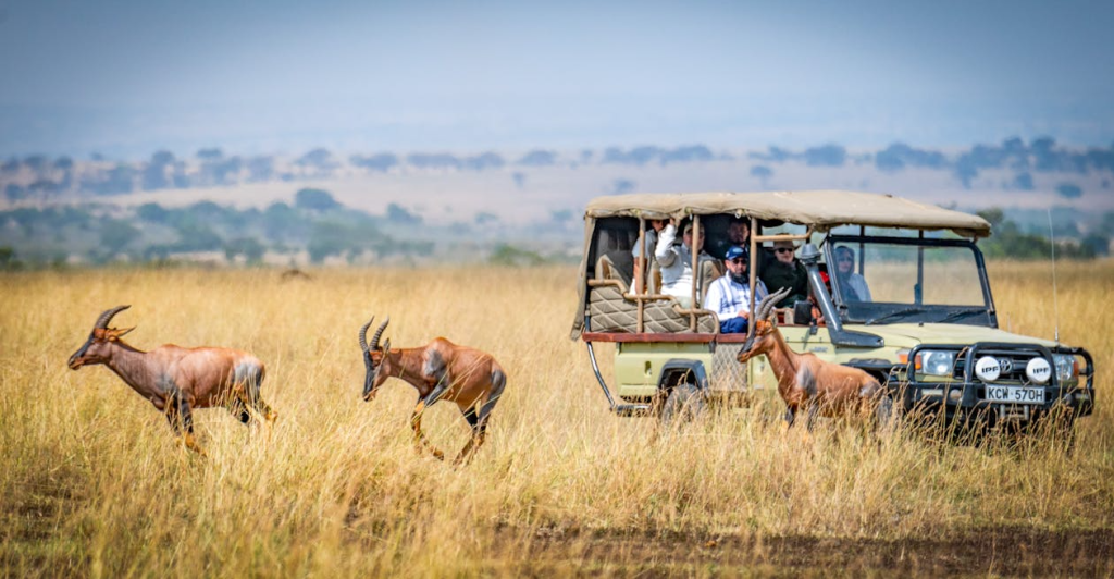 The Ultimate Masai Mara Safari Guide: Everything You Need to Know
