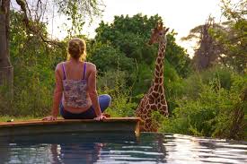 Kenya Safari Safety Guide for Solo Female Travelers